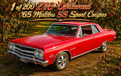 Chevelle Prints